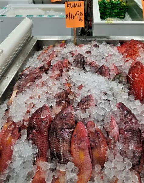 kumu fish|Favorite shoreline fish to eat .